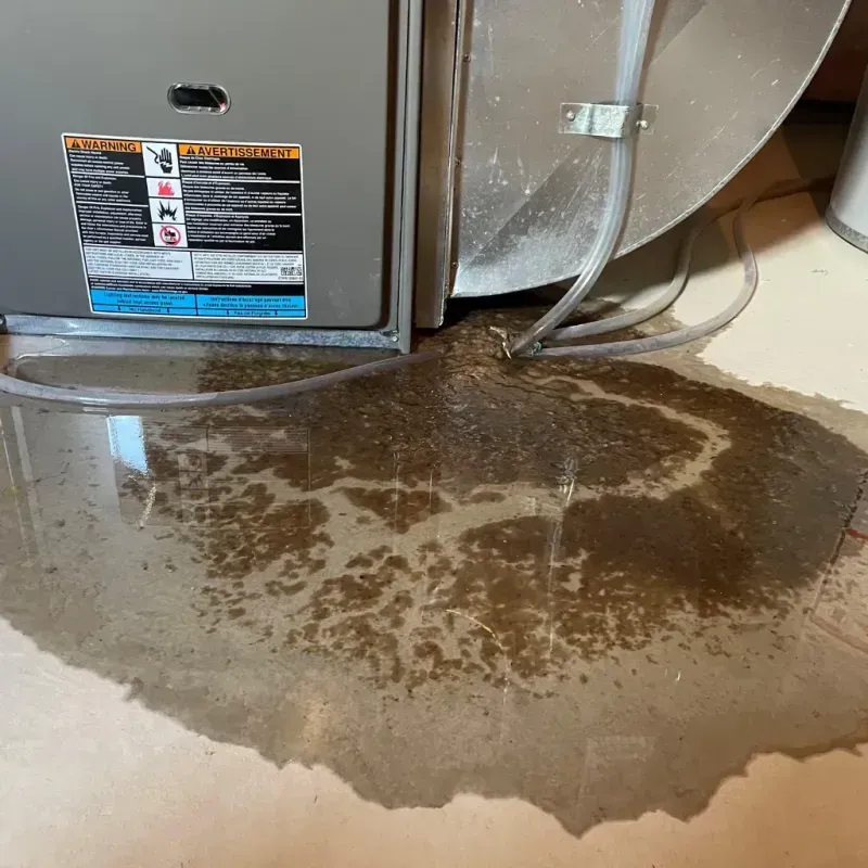 Appliance Leak Cleanup in Tripoli, IA